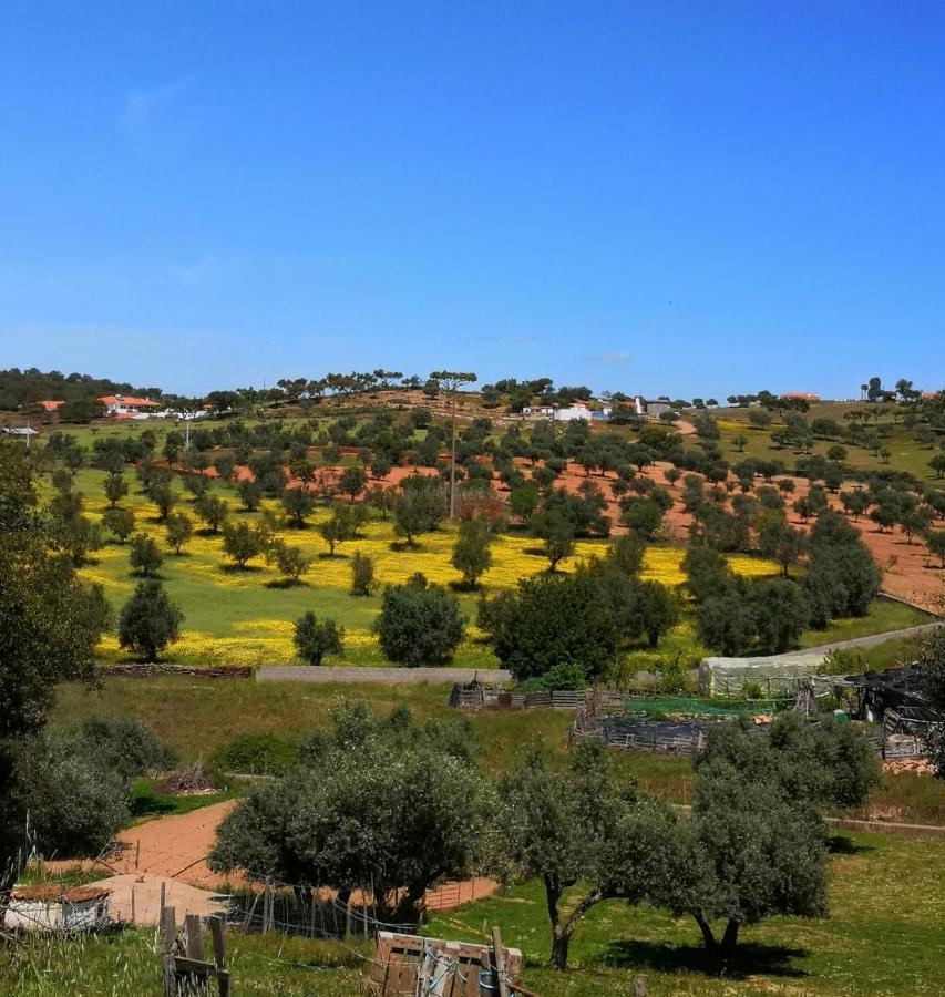 Refugio Do Bem Estar Hotell Cercal do Alentejo Exteriör bild